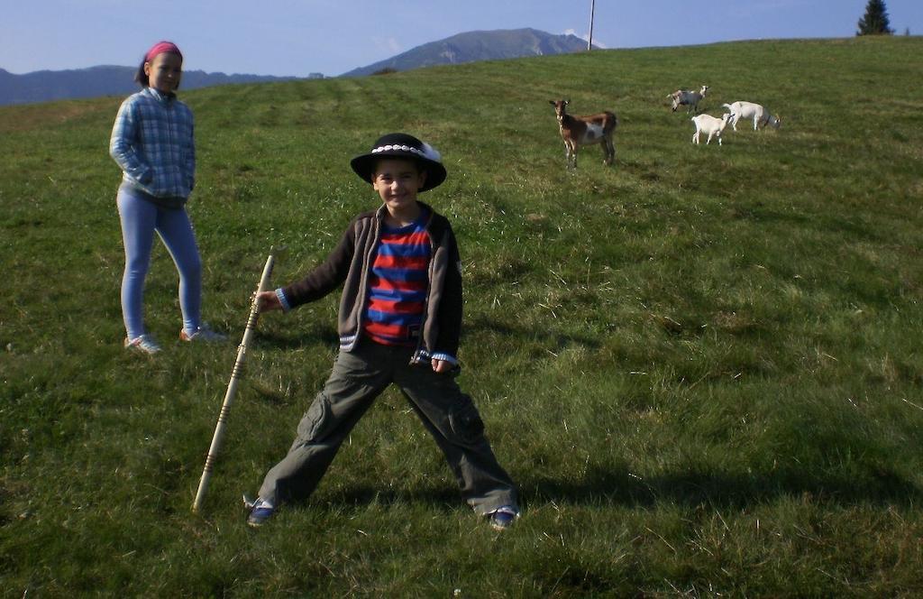 Penzion Deny Zdiar Bagian luar foto